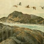 812 4183 LITOGRAPH IN C..